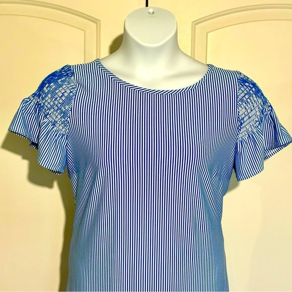 Talbots Seersucker Dress Blue White Striped Flutter Sleeve Size Large NWT - Picture 2 of 7